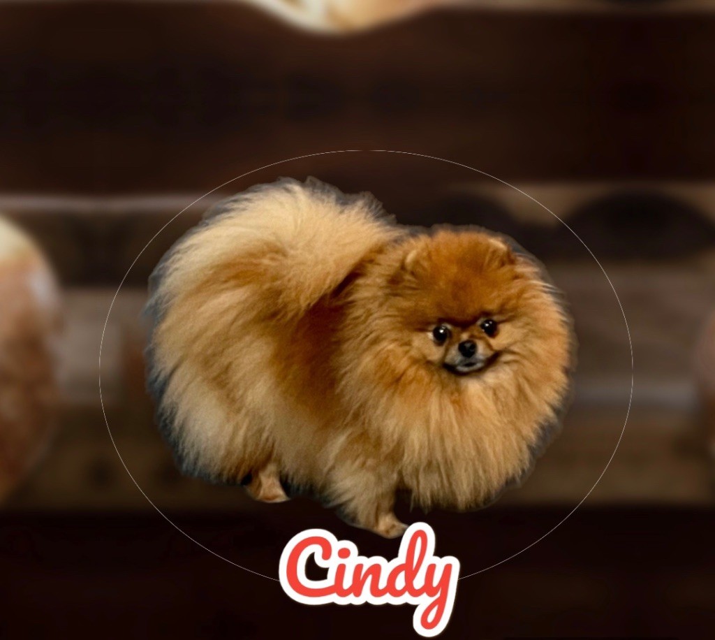 Cindy